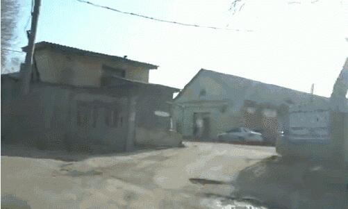 乌克兰胚胎干细胞治疗机构,乌克兰胚胎干细胞