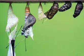 乐享全民刷馆｜跟罗熹去英国自然历史博物馆