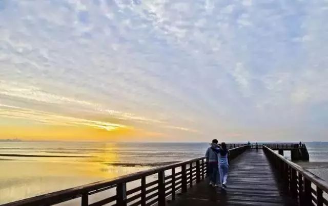 香港旅游必去十大景点2019 (香港旅游攻略免费推荐景点)