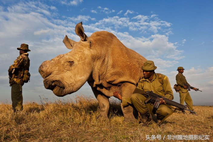 和动物打成一片的总统，枪杀了11397只动物，专家编目8年