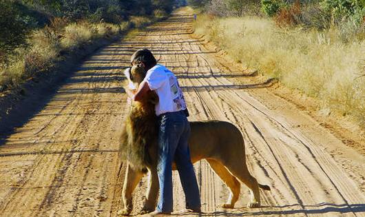 震惊世界的奇葩宠物,外国人养的奇葩宠物