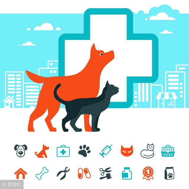 比较喜欢动物学什么专业,喜欢小动物上什么大学