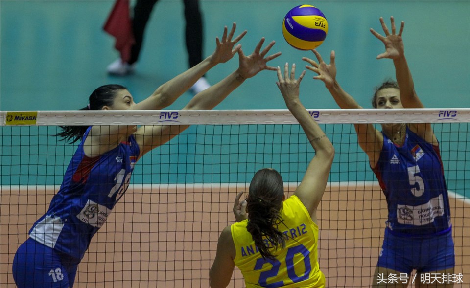 世界女排联赛巴西vs泰国战果,世界女排联赛巴西vs塞尔维亚