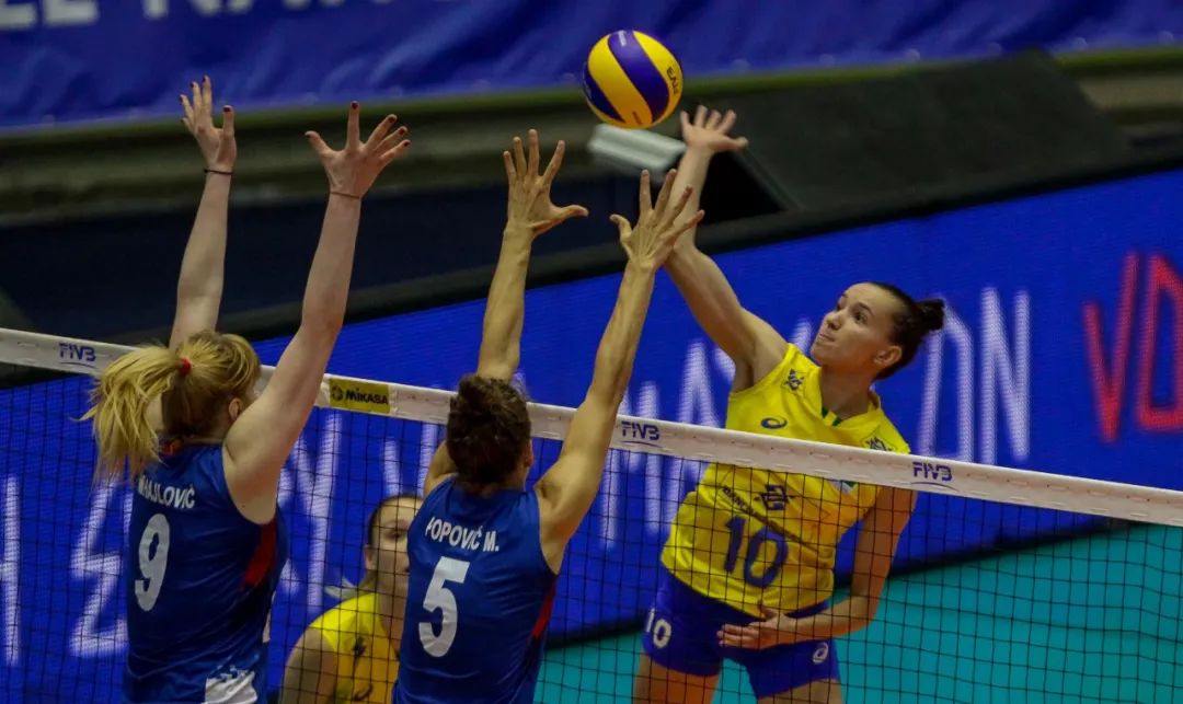 澳洲虎赞助深圳女排,澳洲虎牌干红葡萄酒