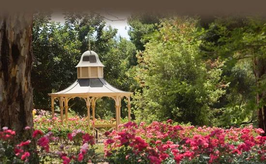 「诗词原创」聂双|春波碧草娇红媚燕语莺言意挽归