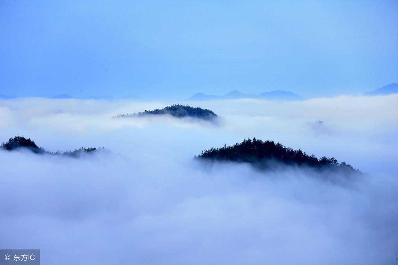 30首令人豪气顿生的诗词,待到秋天花开时的诗句