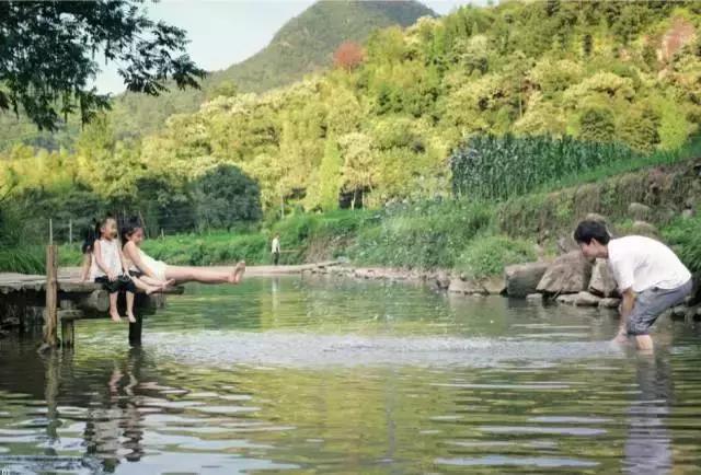 海南共享农庄批几个村庄,海南2019年首批共享农庄