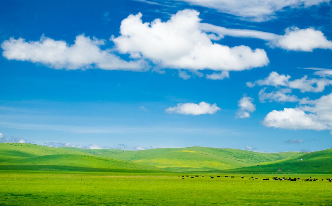 连绵的群山、广袤的草原、蜿蜒的河流……它就是独一无二的若尔盖