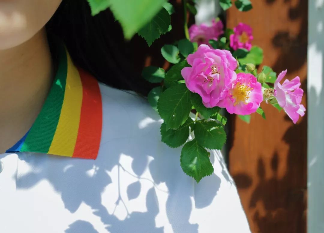 海大校花,海大双胞胎校花