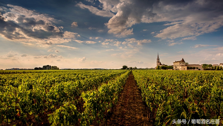 波尔多8大酒庄,波尔多八大庄
