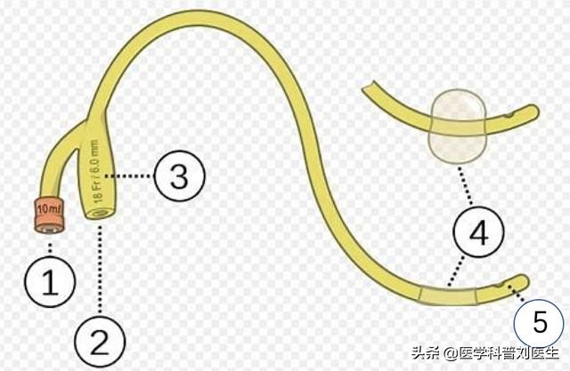 如何关注男性健康,疏通尿管的最好方法