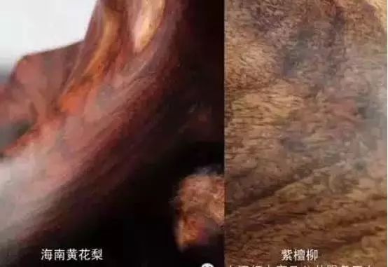 海南黄花梨木品种大全,名贵木材海南黄花梨