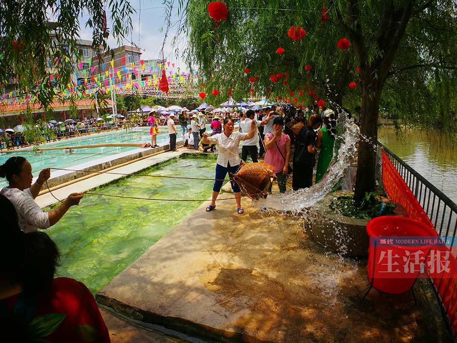 抓泥鳅打水仗,抓泥鳅大战