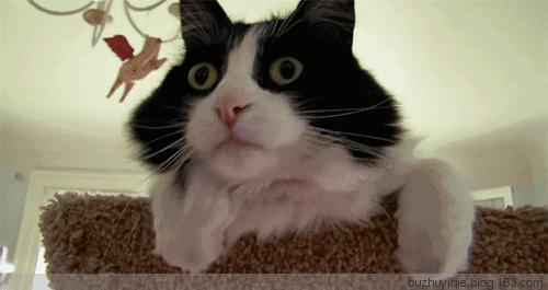 小孩偷喝了一口酒怎么办,一岁多宝宝偷喝了一口奶茶