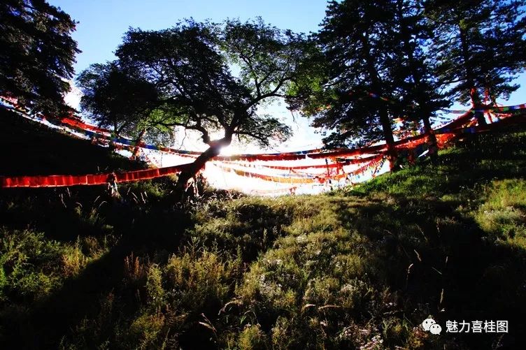 【全域旅游】五当召国家森林公园人文与自然交融互摄｜花舞人间爱心儿童节漂流图书换门票