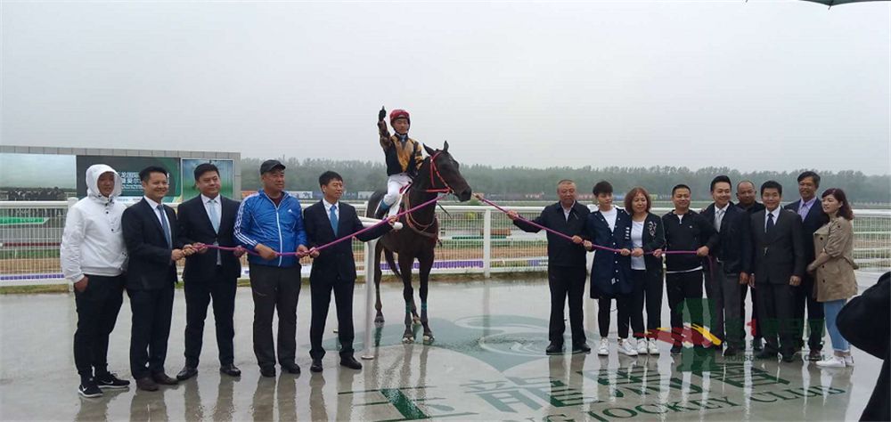 「现场」玉龙今日开锣赛，各路诸侯鏖战百万奖金！马主李勇夺最高奖金，“吉祥如意”马主王福军首战载誉归——1赛马网