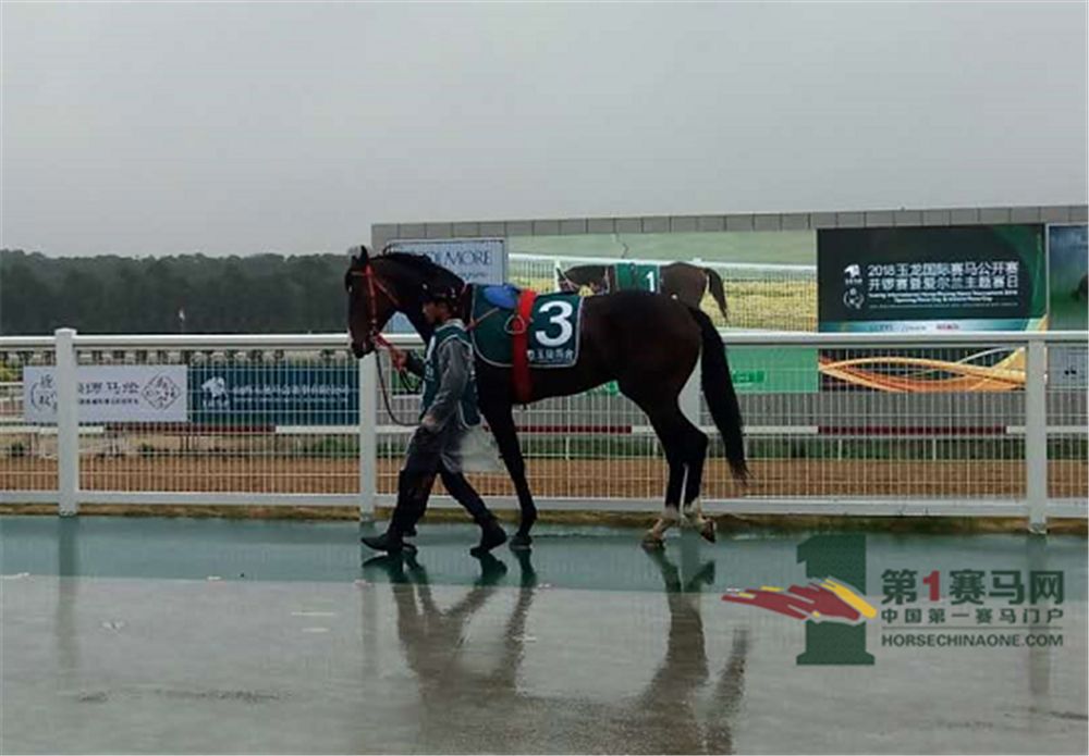 「现场」玉龙今日开锣赛，各路诸侯鏖战百万奖金！马主李勇夺最高奖金，“吉祥如意”马主王福军首战载誉归——1赛马网