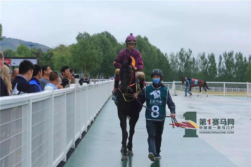 「现场」玉龙今日开锣赛，各路诸侯鏖战百万奖金！马主李勇夺最高奖金，“吉祥如意”马主王福军首战载誉归——1赛马网