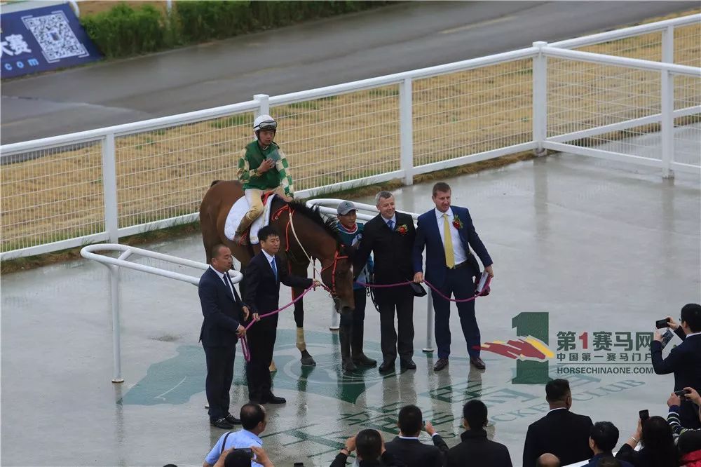 「现场」玉龙今日开锣赛，各路诸侯鏖战百万奖金！马主李勇夺最高奖金，“吉祥如意”马主王福军首战载誉归——1赛马网