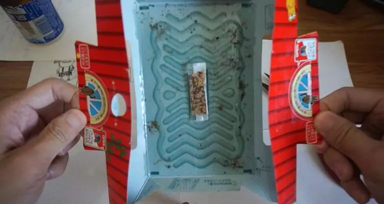 我竟然给蟑螂买了一套房子并请它喝了一罐哈尔滨？