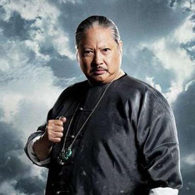 洪金宝变胖前的电影,洪金宝早期年轻图片