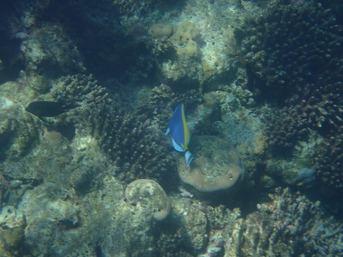 马代有毒，去过就停不下来~马尔代夫奥臻岛ozen