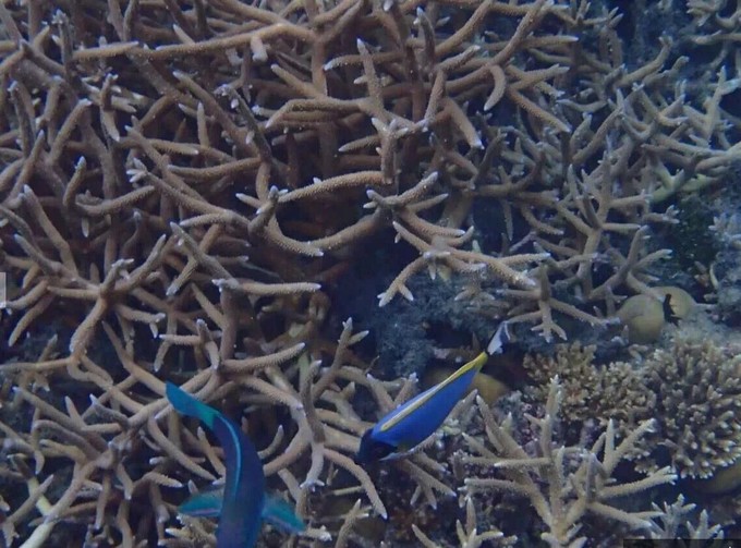 马代有毒，去过就停不下来~马尔代夫奥臻岛ozen