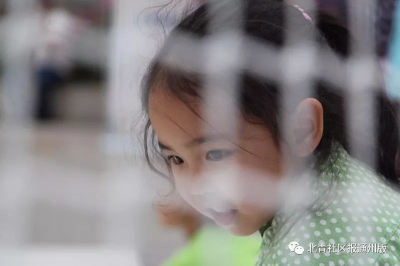 农民大爷挑战吉尼斯纪录,86岁老人挑战吉尼斯纪录