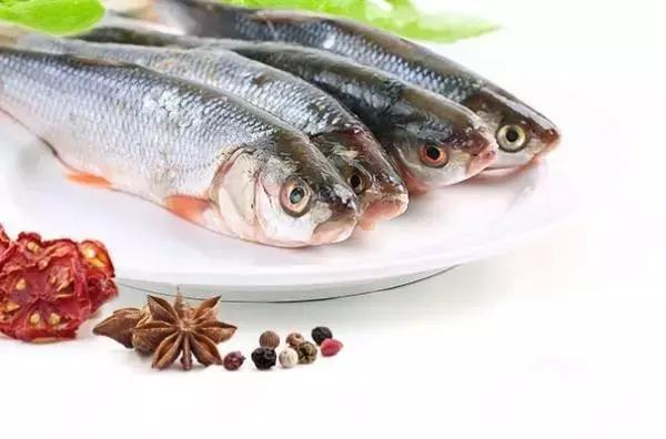 黑龙江省的鳇鱼,中国黑龙江的鳇鱼