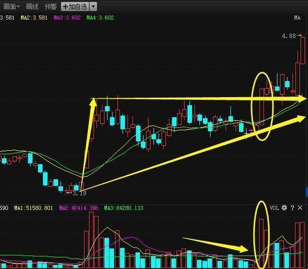 股市天才肺腑之言,一位股市天才的交易心得