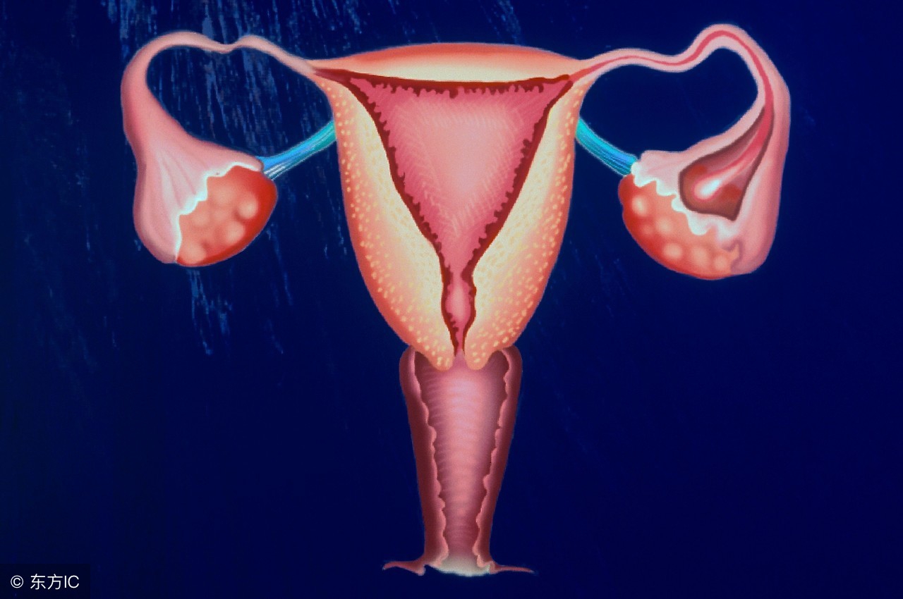 忽然变胖的原因有哪些？可能是生病了，也可能是好事在发生