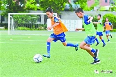 江岸区厉害的小学,江岸区堤角小学