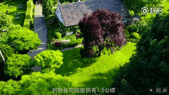 抑郁症疗愈花园,抑郁情绪疗愈法