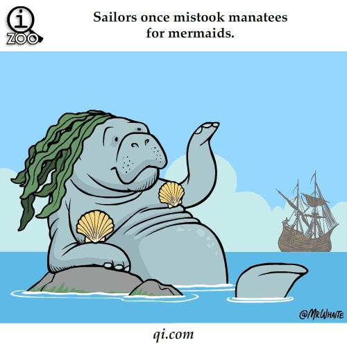 GIF呆萌动物冷知识，知道5个以上算你厉害！