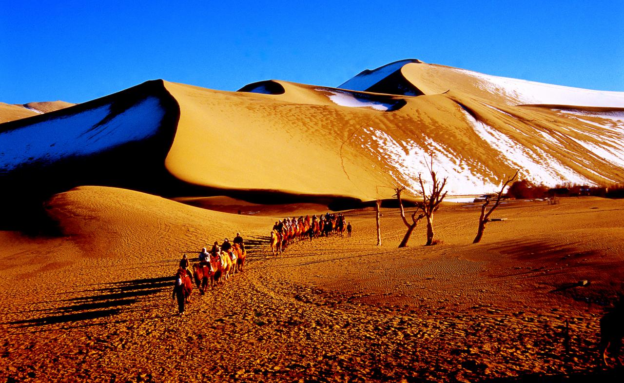 2017年高考全国一类卷满分作文,2017年高考满分作文山东卷