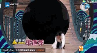 angelababy机场被怼脸,angelababy在机场被怼的视频