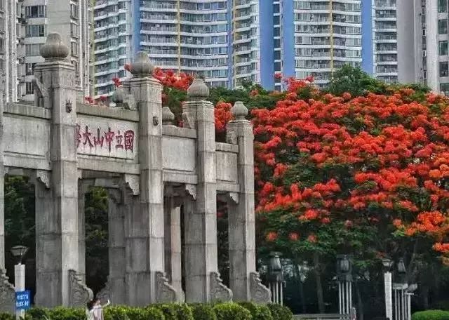 南国有嘉木出处,南国有佳人