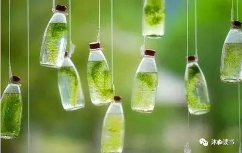 被网上的毒鸡汤害了,被网络上的毒鸡汤给蒙蔽了