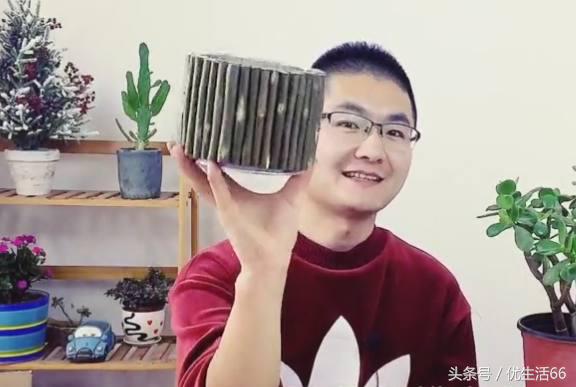 剩下的奶粉罐可以用来养什么东西,家里废弃奶粉罐如何重新利用