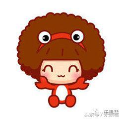 十二星座“老婆使用前须知手册说明书”