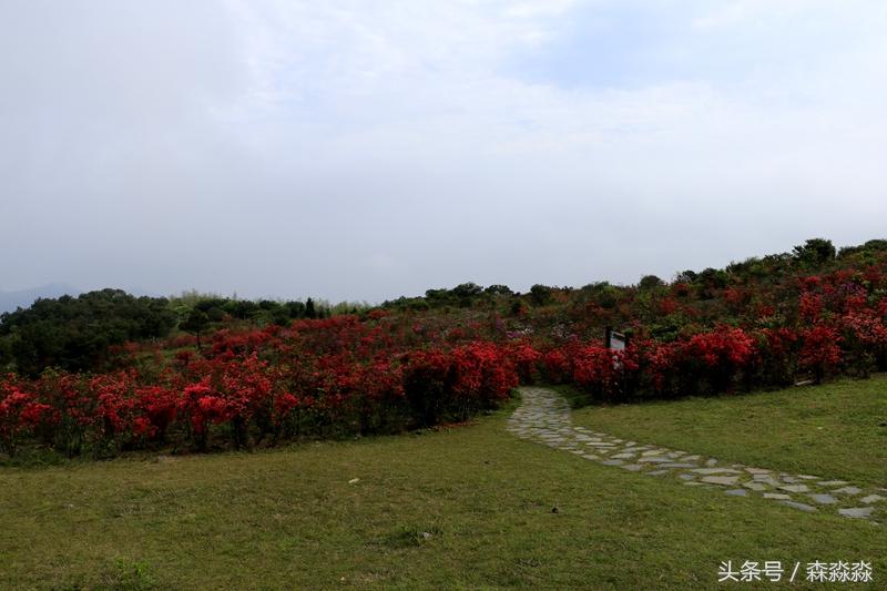 火山爆发后形成的著名景点,火山喷发会形成哪些景点
