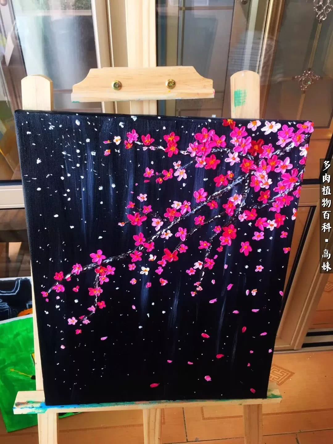 90张多肉图片——纪念入坑两周年！