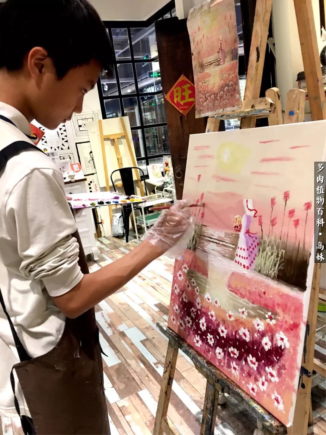 90张多肉图片——纪念入坑两周年！