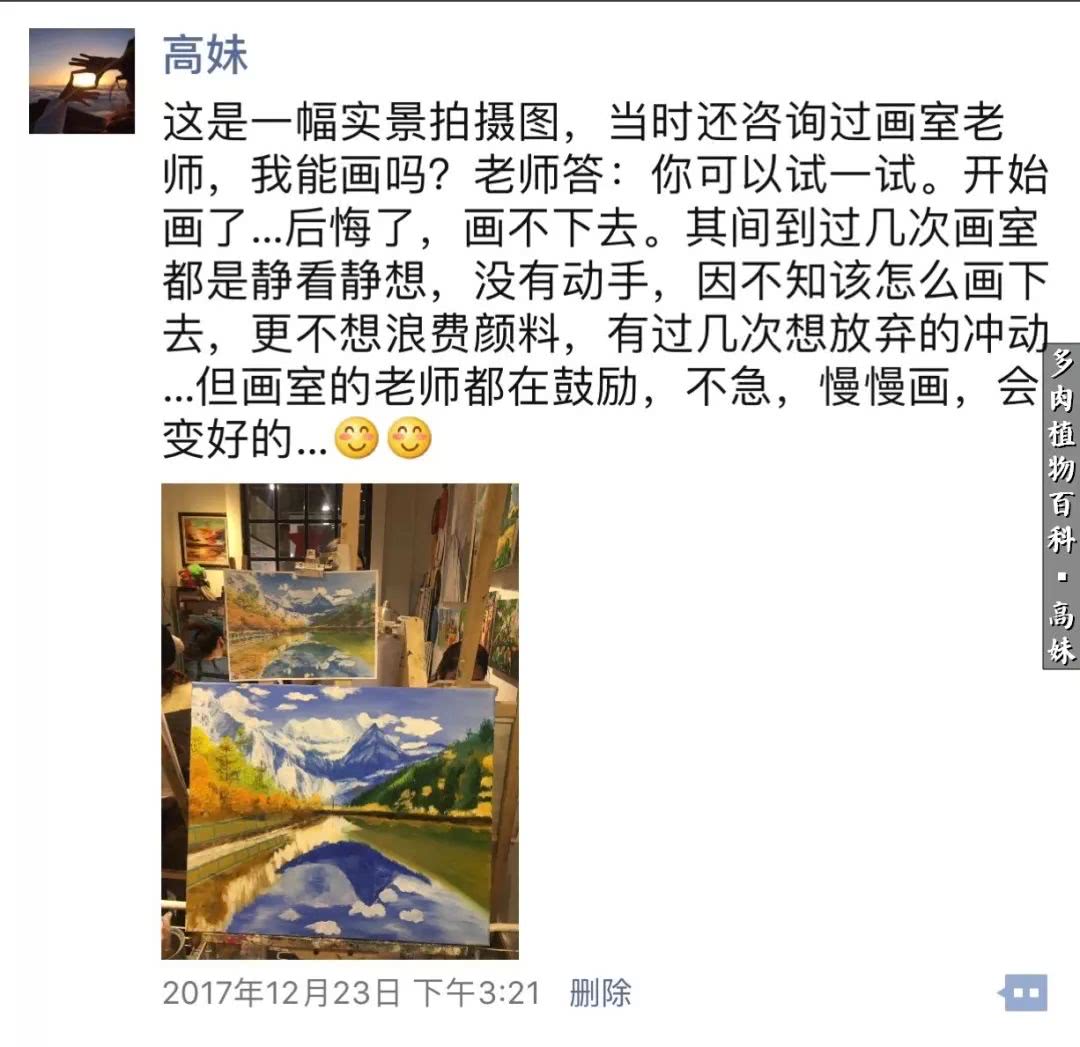 90张多肉图片——纪念入坑两周年！