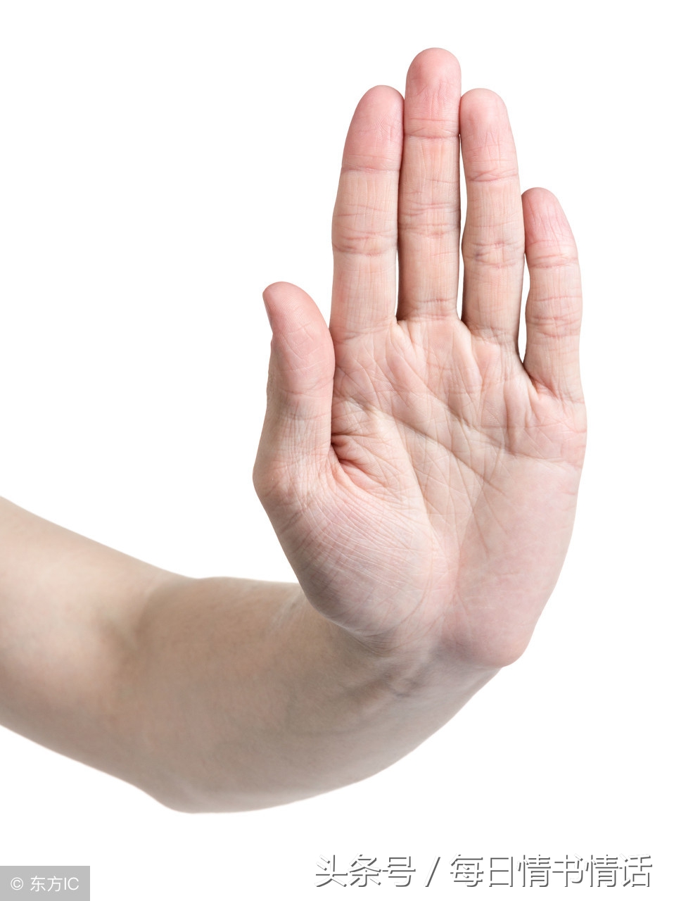 传统武术拳法基本功日常训练,传统武术基本功踏腿