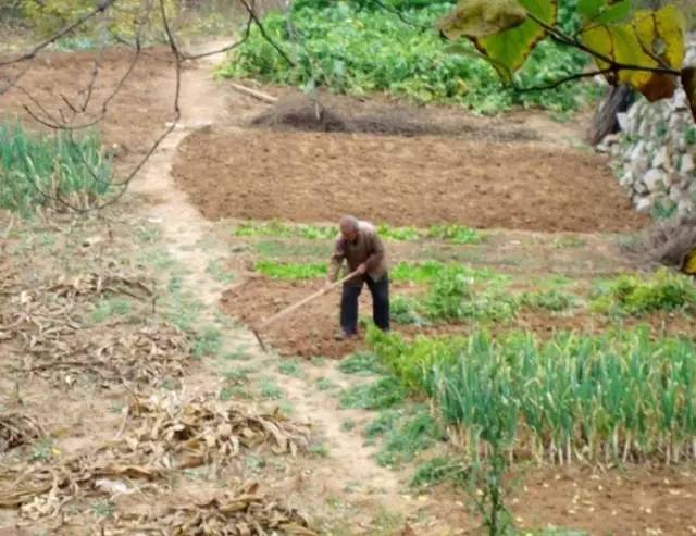 江西遂川老家视频,遂川县城的老县城照片