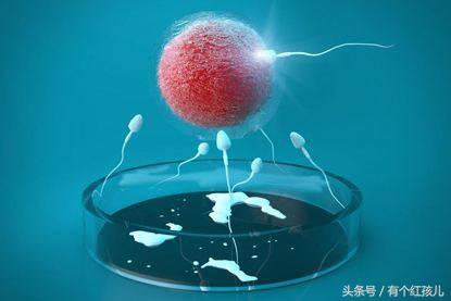 试管婴儿手术怎么做的,试管婴儿手术要注意什么