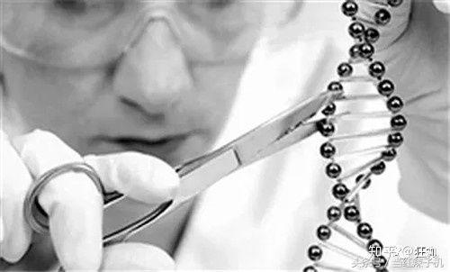 用生命做的科学实验,用生命做实验