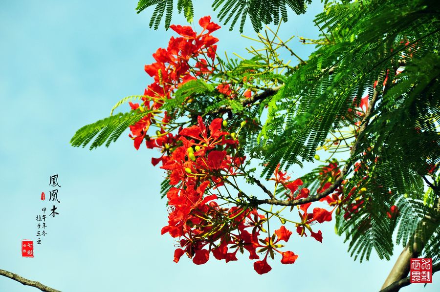福建厦门海沧区,福建海沧区