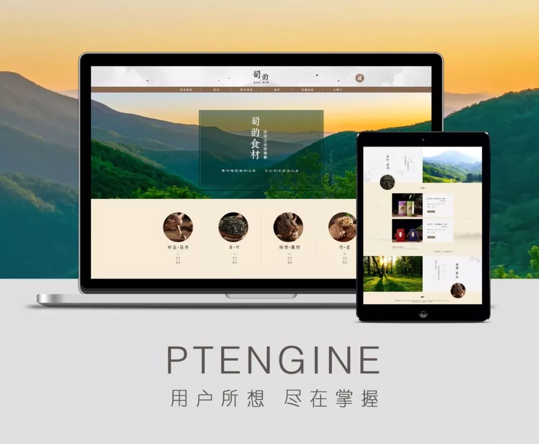 seo二级域名和子目录哪个好,seo优化二级域名还是一级域名